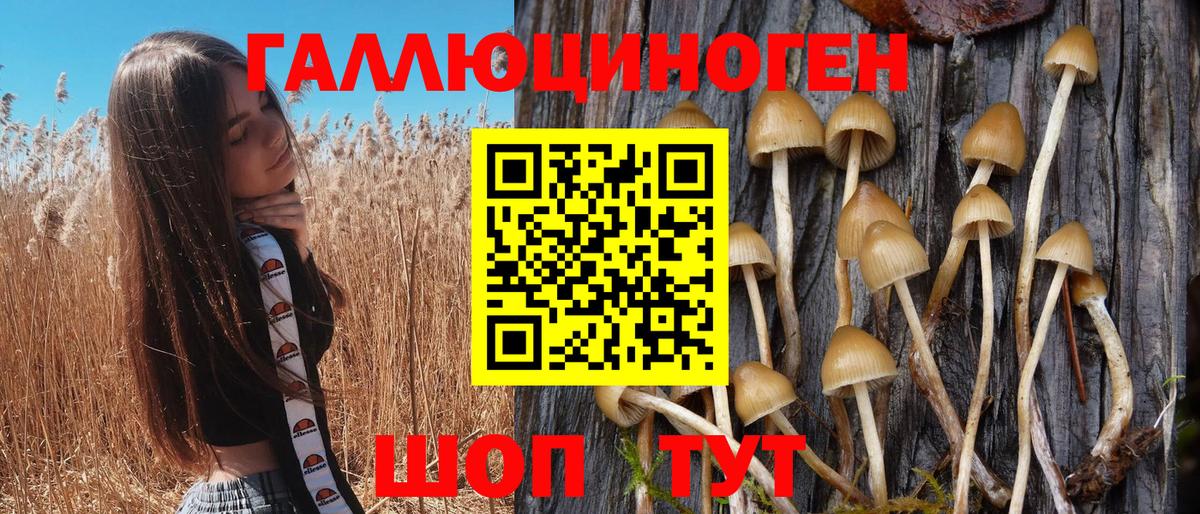 Черемхово  дарнет шоп  Вход с VPN  Галлюциногенные грибы мицелий 