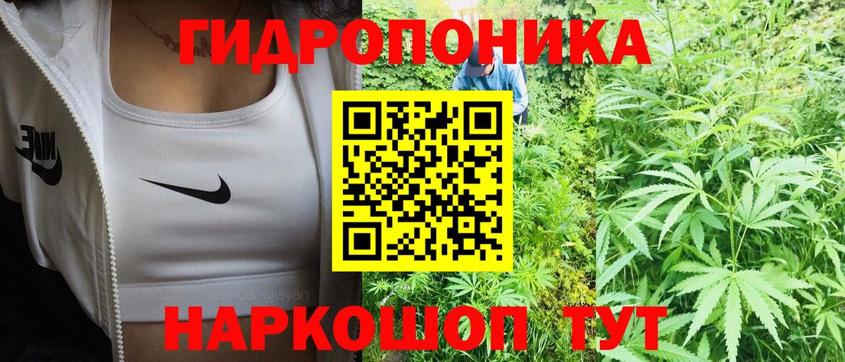 Каннабис планчик  Вход с VPN  МАРИХУАНА ГИДРОПОН  Черемхово  МАРИХУАНА ГИДРОПОН 
